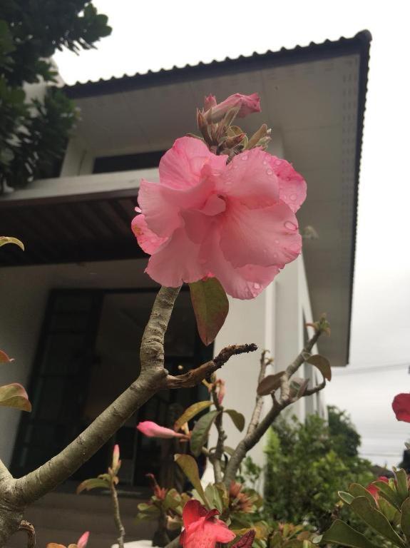 Baan Nan B&B Hotel Exterior foto